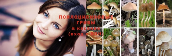 гашиш Арсеньев