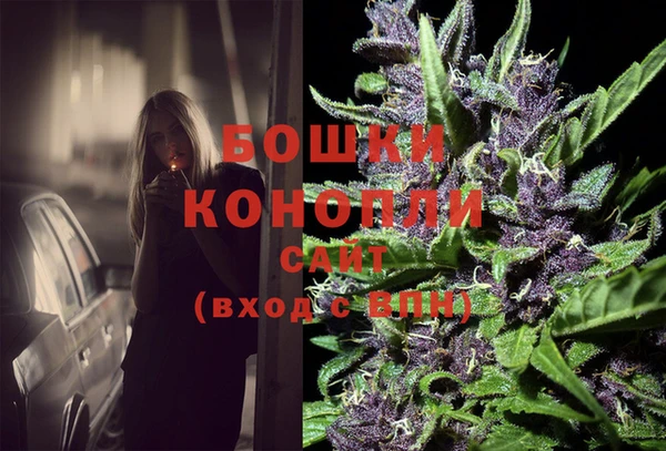 винт Костерёво
