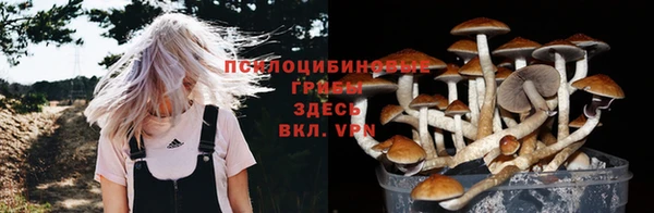 марки lsd Армянск