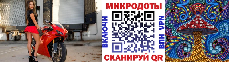 цена   Трёхгорный  Псилоцибиновые грибы GOLDEN TEACHER 